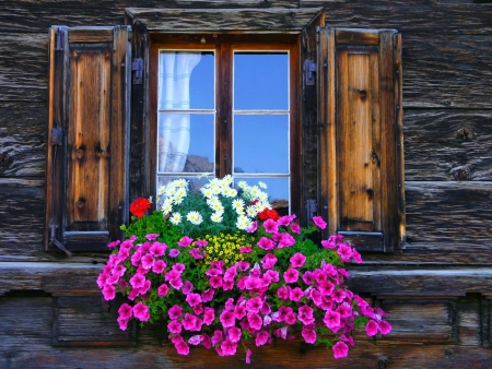 Window with flowers - summer, pretty, beautiful, flowers, spring, window, wooden, freshness, nice, lovely, nature, colorful