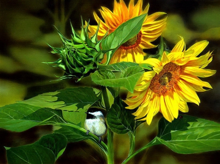 Chickadee on sunflower - nice, sunflowers, summer, prettty, lovely, bird, painting, art, yellow, beautiful, leaves, sunny, flowers, chickadee