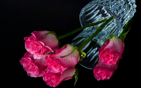 Roses in glass - pretty, roses, pink, reflection, flowers, elegance, mirror, nice, fragile, beautiful, mirrored, lovely, petals, bouquet, harmony, black, tender, background, glass