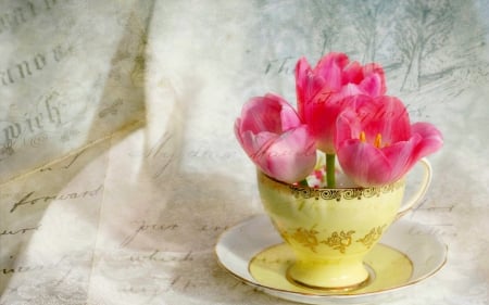 CUP of TULIPS - letters, pink, vintage, flowers, saucer, ulips, cup