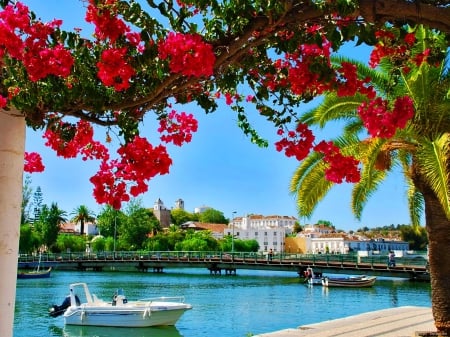 Tavira, Portugal - nice, sky, freshness, tavira, dock, port, portugal, river, lovelt, bridge, boat, branches, lake, palm trees, palms, summer, place, lovely, exotic, village, pier, town, beautiful, flowers, europe