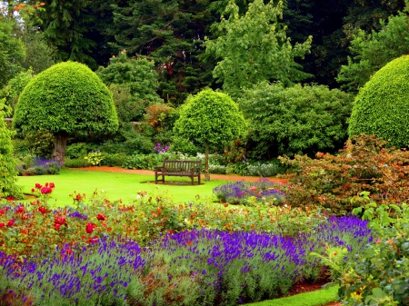 Have a seat - nice, freshness, trees, colorful, greenery, bench, pretty, green, grass, garden, relax, seat, park, summer, place, lovely, bushes, nature, forest, beautiful, rest, flowers