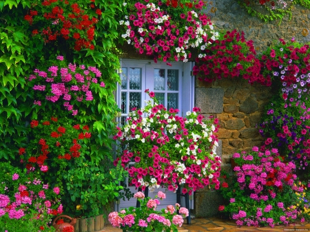 Sweet home - summer, beautiful, cottage, villa, fresh, countryside, cozy, nature, colorful, pretty, flowers, spring, window, freshness, home, nice, lovely, house