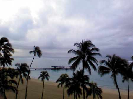 Harbor in Hawaii - nature, oceans, beaches, and plants