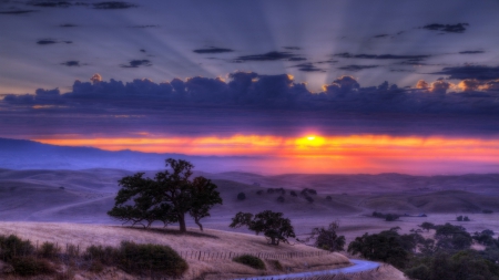 glorious sunset hdr - clouds, sun rays, trees, hills, sunset, hdr, road