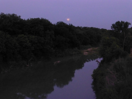 Morning at the River - morning, water, trees, river