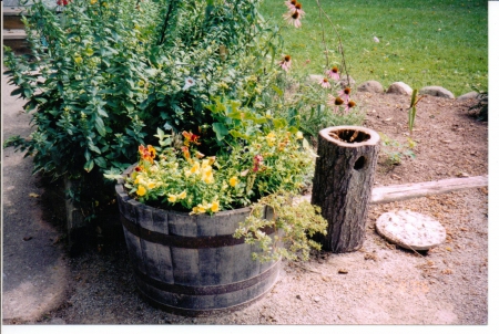 Bucket of Flowers - nature, flowers, garden, bucket