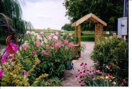 Garden Path - view, flowers, garden, path