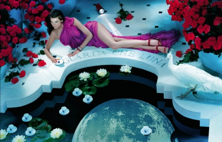 Alexandra Tomlinson - flower, rose, model, cup, girl, lotus, white, alexandra tomlinson, woman, red, pink, bird, water, dress, blue, lake, peacock, moon, green