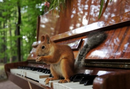 Hungry after playing - anima, piano, funny, hungry