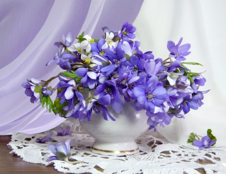 In violet - nature, flora, composition, flowers, plants, still life