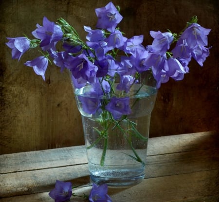 Violet bells for you - image, expression, color, new, wallpaper