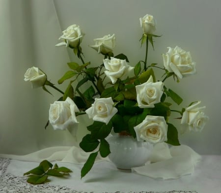 Beauty of white roses - nature, flora, composition, flowers, plants, still life