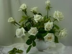 Beauty of white roses