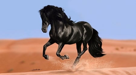 Black horse - popular, animals, black horse, wallpaper, run, horses, free, horse, animal, sand