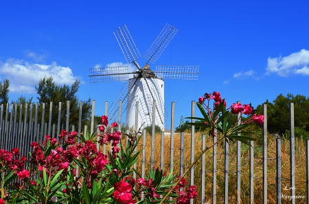 WindMill - nice, windmill, abstract, blue sky