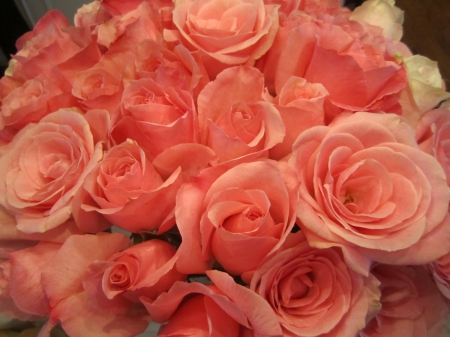 bouquet of pink roses - roses, pink, flowers, bouquet, still life