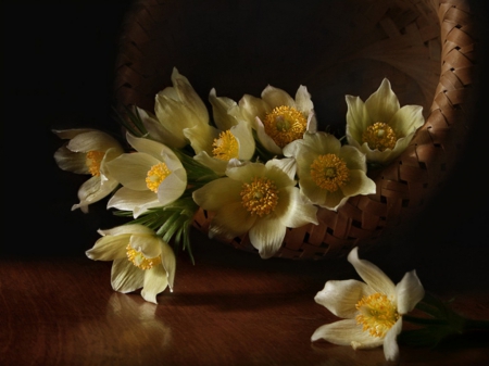 BASKET OF BEAUTY - photots, lilies, yellow, beautiful, daisy, spring, lovely, still life, flowers, basket, daisies, white