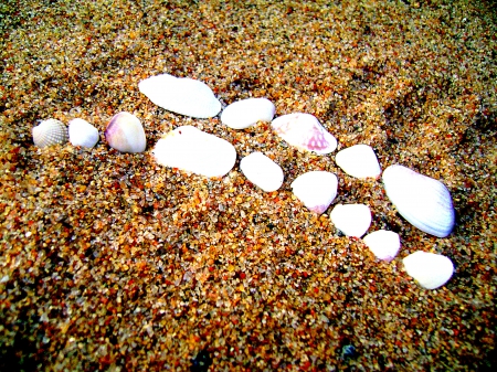 Beach sand - beach, clicks, photography, beach sand, shells, desktop wallpaper, indian photography, macro, hdr, sea, sand, colourful