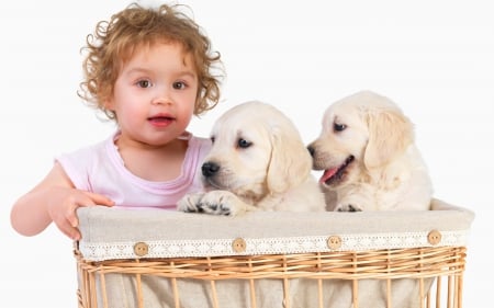 Girl and dogs