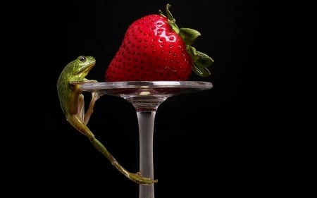 ONE FROG'S DESERT - deseet, frog, animals, fantasy, cool, digital art, food, surreal, glass, funny, berries, photos, fruit, hd, strawberries, 3d, decilious