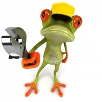 THE WORKING FROG