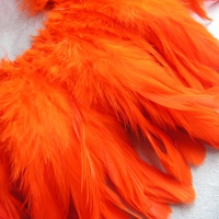 BRIGHT ORANGE FEATHERS