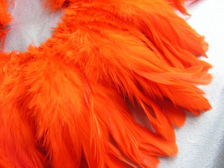 BRIGHT ORANGE FEATHERS - photos, textures, birds, peacock, bright, feathers, orange, photo