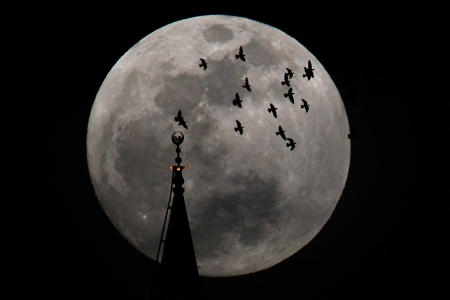 THE KEEPER COMES - moon, full, dark, black and white, tower, gothic, fantasy, birds