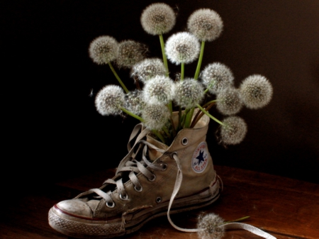 STRANGE STILL - flowers, shoes, textures, nature, dannenlions, puffs, cool, still life