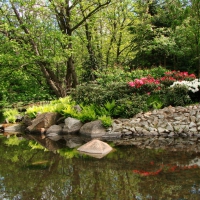 LANDSCAPE OF A PARK