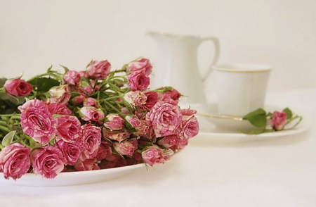 tea time & pink roses - pink roses, tea time, flowers, still life