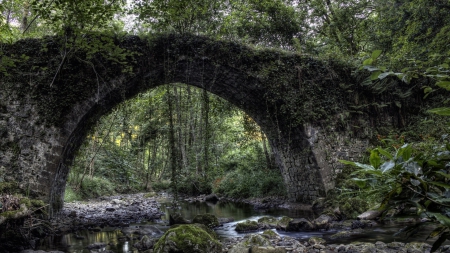 ivy covered old arched stone bridge - ivy, old, rock, stream, forest, bridge