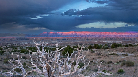 fantastic colored mountains in the desert - clouds, mountains, colors, desert, bushes