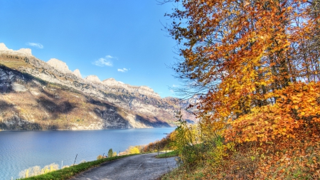 trail along a beautiful river in autumn - river, trees, trail, autumn, mountain