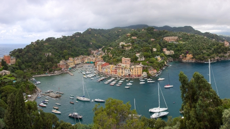 wonderful harbor in a seaside italian town - boats, trees, town, harbor, seaside