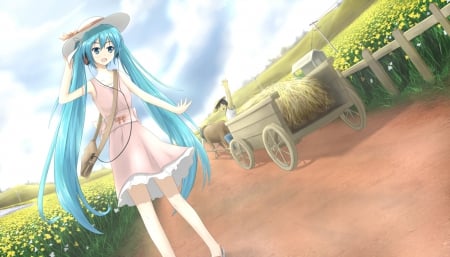 Hatsune - Miku, Summer, Cant think of a fourth, Hatsune Miku, Hatsune