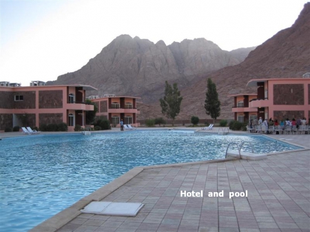 Oasis In The Sinai.