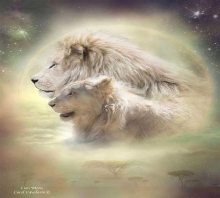 lion moon - white, moon, lions, space