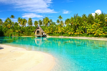 Incredible Aqua Blue Clear Lagoon Bora Bora Paradise Island Polynesia Tahiti - aqua, pacific, paradise, christian, escape, white, chapel, holiday, south, marriage, boat, islands, tropical, ceremony, beautiful, society, sea, retreat, beach, polynesian, clear, perfect, polynesia, french, bora bora, atoll, lagoon, idyllic, sand, resort, wedding, ocean, at, weddings, exotic, church, blue, island, tahiti