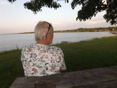 in quiet solitude - grass, person, water, bay