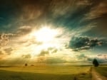 amazing sun rays over wheat fields