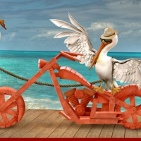 PELICAN RIDE