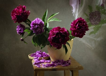 Still Life - nature, peonies, petals, peony, flowers, still life