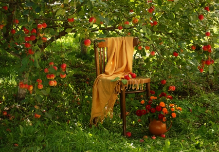 Simply Beautiful - fresh, fruits, still life, apples, nature, chair, green, tree, flowers, grass, apple