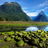 moss covered stones on the banks of a river