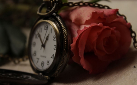 Time is Beautiful - watch, red, time, rose, flower