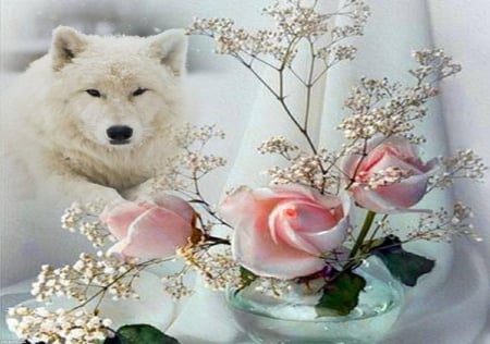 white wolf - white, classwater, pink, flowers, rose