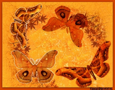 AUTUMN MOTHS - ART, MOTHS, AUTUMN, ABSTRACT