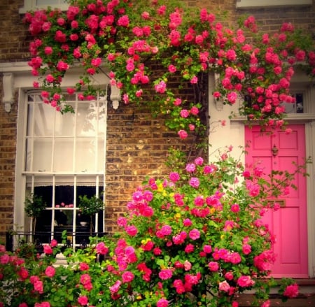 red roses - flowers, outdoor, rose arch, red roses